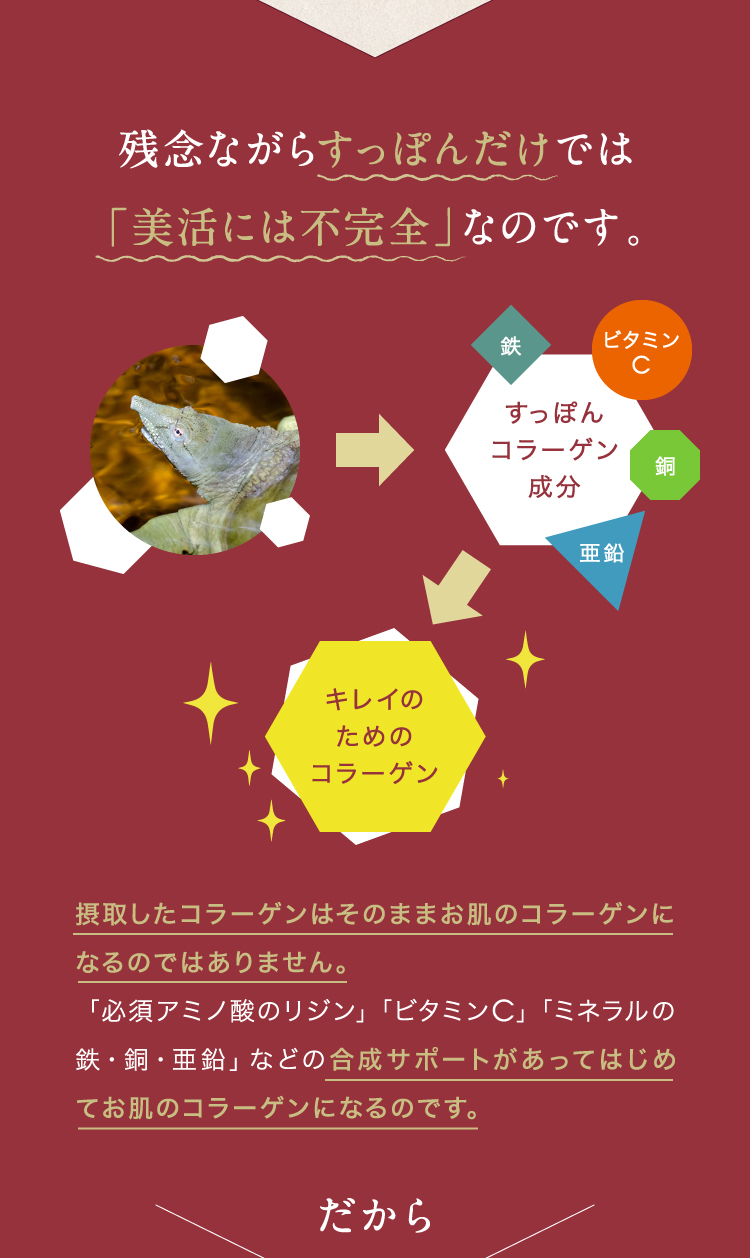 残念ながらすっぽんだけでは「美活には不完全」なのです。