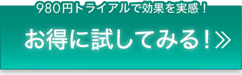 お得に試してみる！