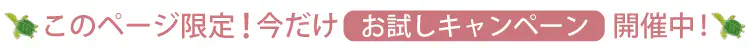 このページ限定！今だけお試しキャンペーン開催中！