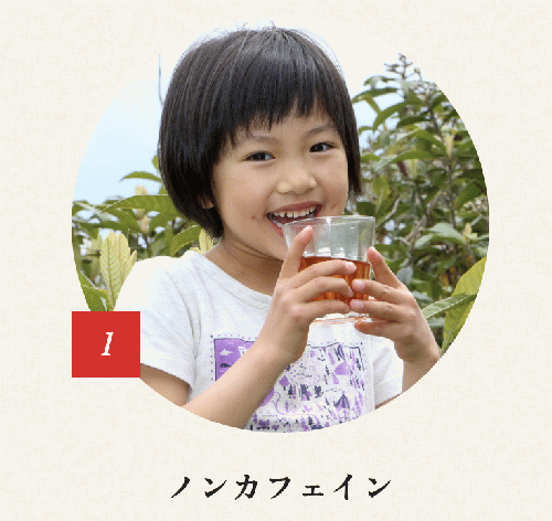 《コラボ商品》鹿児島県産ねじめびわ茶
