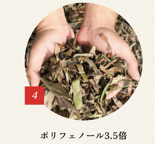 《コラボ商品》鹿児島県産ねじめびわ茶
